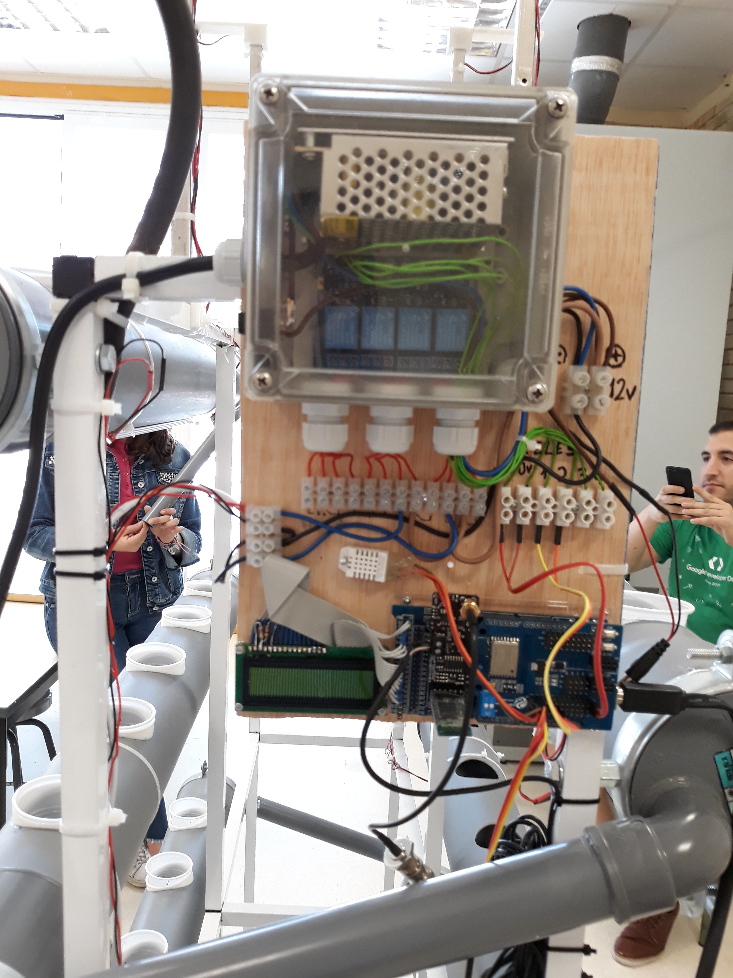 20180525 JdL Hidropónico 103.jpg